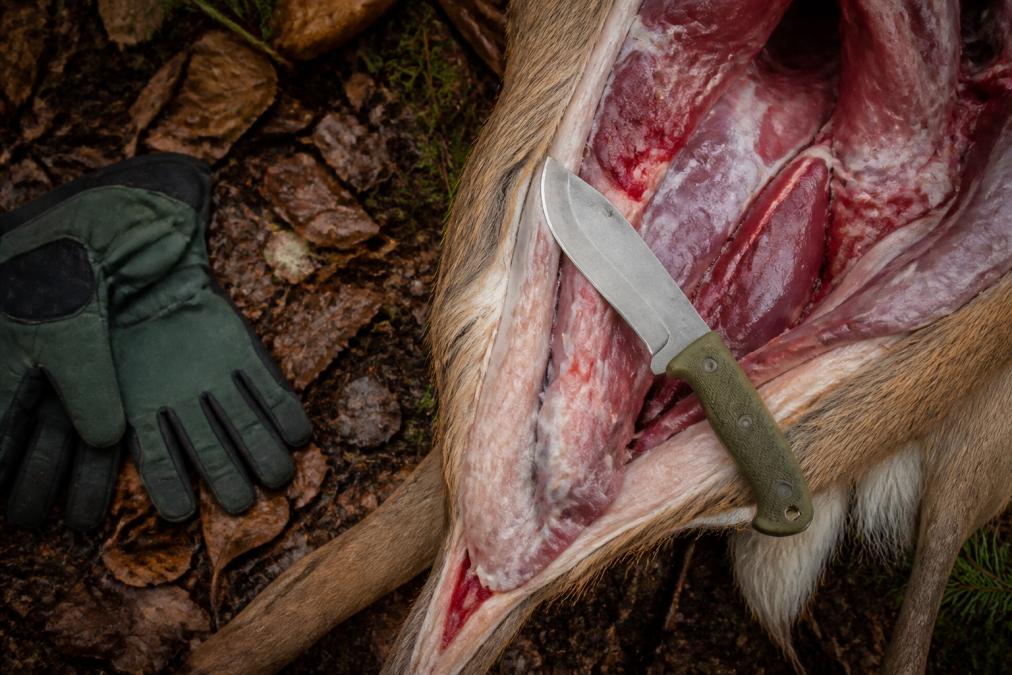 Best Steel for Field Dressing Knives: 2026 Guide