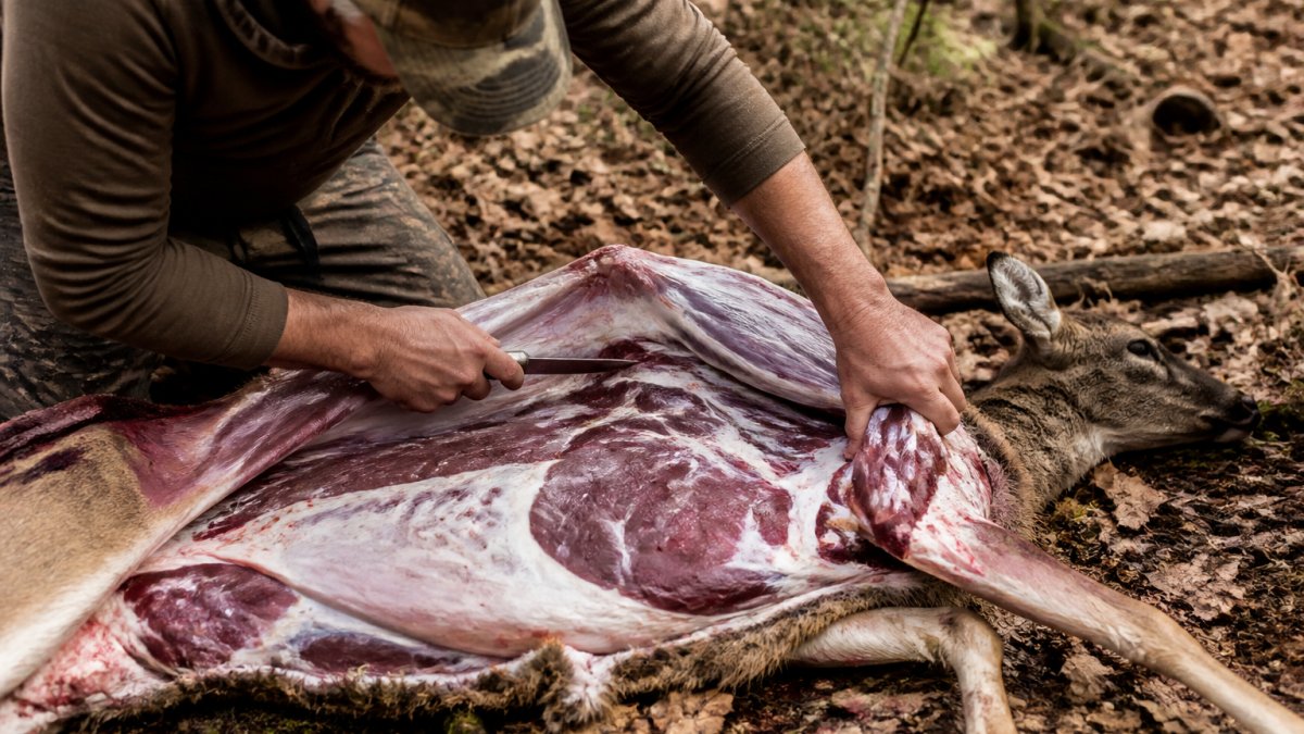 How to Debone a Deer in the Field: Step-by-Step